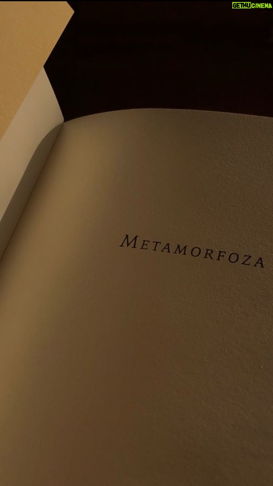 Carol Garcia - 3 Likes - Franz Kafka (1883-1924)
.
#bastidoresteatro #literatura #bookstagram #livrosemaislivros #kafka #franzkafka #escritacriativa #oratoria