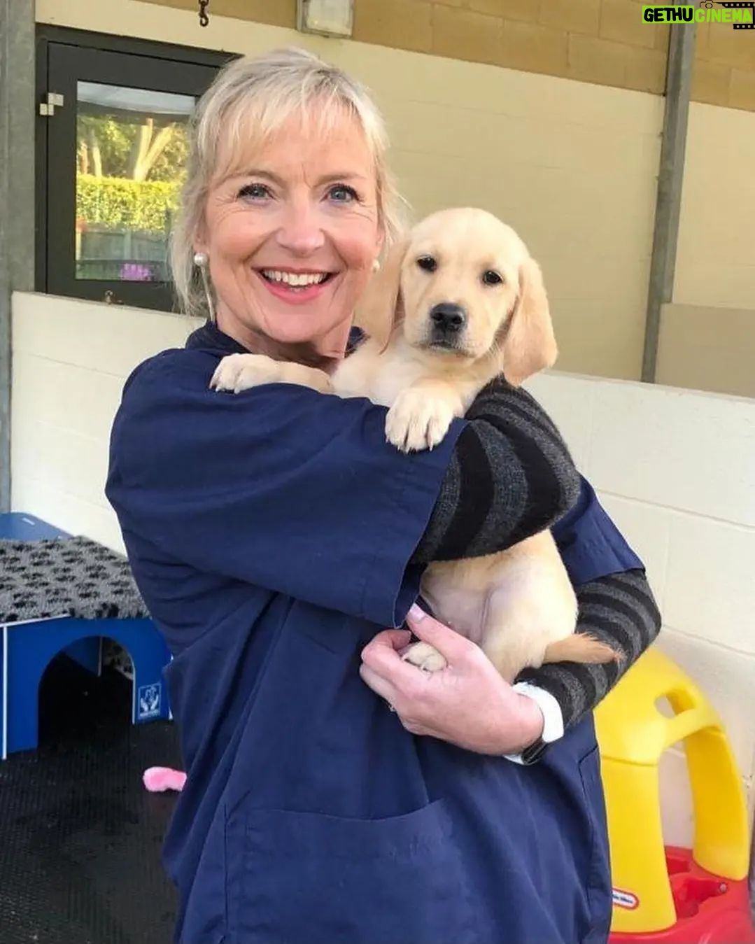 Carol Kirkwood - 3.7K Likes - ❤️❤️xxx