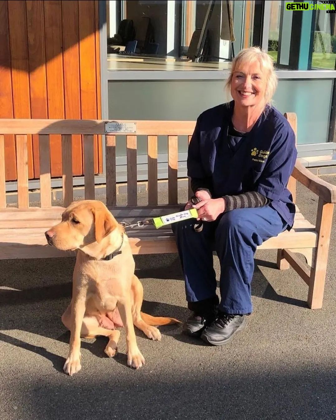 Carol Kirkwood - 3.7K Likes - ❤️❤️xxx