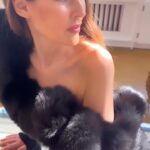 Carol Alt Instagram - #leopard #shoes #tuesday #location @ezstudios #video @ezequieldelarosa