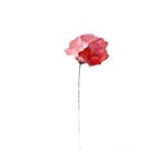 Carolina Crescentini Instagram - Buona liberazione #25aprile #resistere
