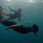 Carolina Domenech Instagram - Haber tenido la experiencia de poder ver estos animales y muchos más tan de cerca fue gracias a @lfcsummit que ayuda a cuidar el planeta desde el corazón 💙 inmensamente agradecida @jamesleonf por dejarme ser parte y vivir el mejor viaje, conocer galapagos y un grupo de personas hermosas. 🌸