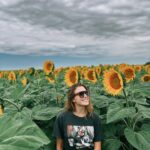 Carolina Domenech Instagram - Siempre que vi girasoles al costado de la ruta quise frenar y finalmente ocurrió 🌻🌻🌻🌻🌻en la última había una abeja 😂