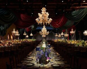 Carrie Mae Weems Instagram - Still thinking about this unforgettable evening a few weeks back around my birthday. Dior’s Venetian Heritage Foundation Ball — spectacular 🌌