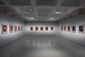 Carrie Mae Weems Instagram - Installation views from my show, 'Reflections for Now', up currently at the Barbican in London.