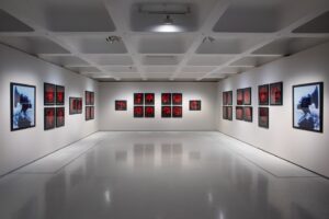 Carrie Mae Weems Instagram - Installation views from my show, 'Reflections for Now', up currently at the Barbican in London.