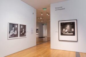 Carrie Mae Weems Instagram - Taking the time to share some installation photos from my exhibition with my great friend @dawoudbey 
‘Dawoud Bey and Carrie Mae Weems: In Dialogue’ is open at the Grand Rapids Art Museum now through the end of April. I encourage you to check it out if you haven’t already!