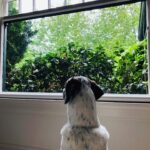 Carrie Brownstein Instagram – Back to the content I prefer.