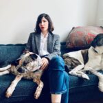 Carrie Brownstein Instagram - New week, new dog post.