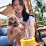 Carrie Wong Instagram - Happy birthday my baby girl mummy loves you forever and always even though all u care about is the cake. Hope you stay this greedy forever 🥰