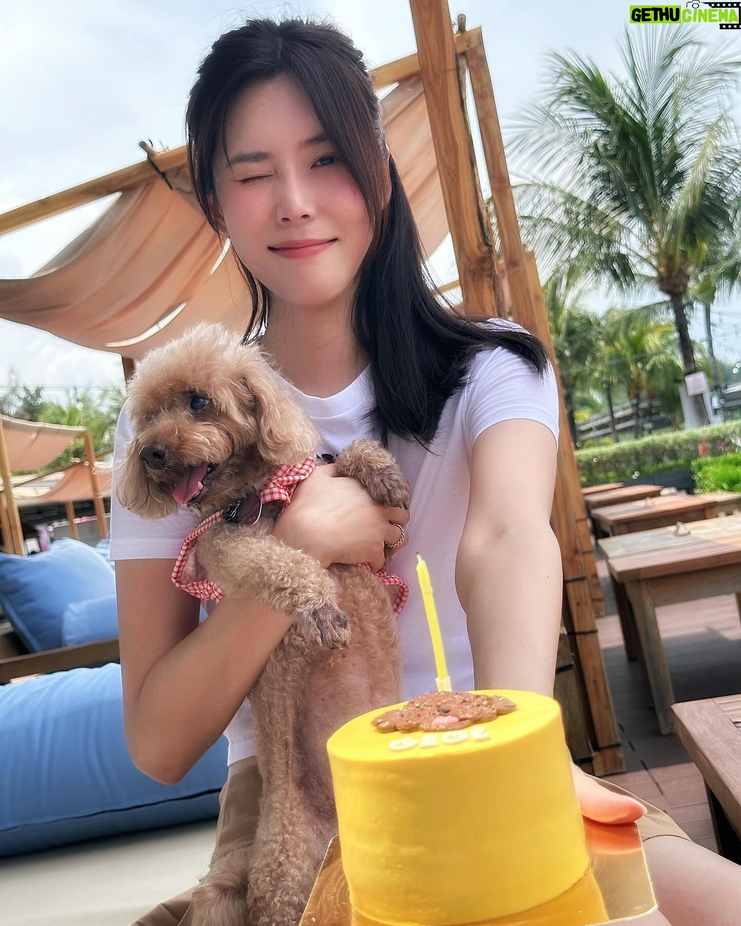 Carrie Wong Instagram - Happy birthday my baby girl mummy loves you forever and always even though all u care about is the cake. Hope you stay this greedy forever 🥰