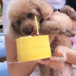 Carrie Wong Instagram - Happy birthday my baby girl mummy loves you forever and always even though all u care about is the cake. Hope you stay this greedy forever 🥰