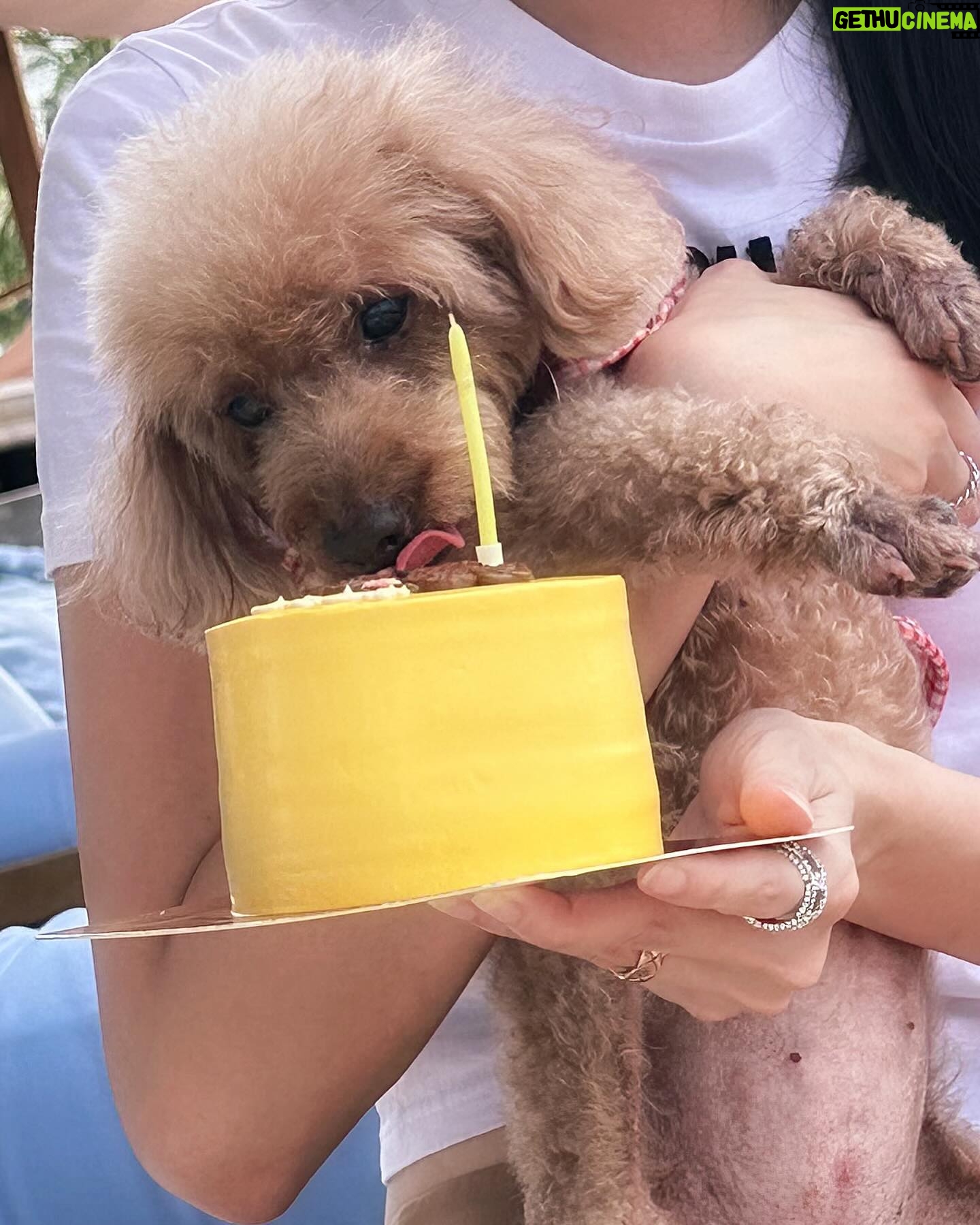 Carrie Wong Instagram - Happy birthday my baby girl mummy loves you forever and always even though all u care about is the cake. Hope you stay this greedy forever 🥰