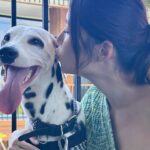 Carrie Wong Instagram - Introducing Pepper the resident doggo at #BOSSHouseBali. Peps is just a very good boi 🐾 @boss #BeYourOwnBOSS #BOSSDogAccessories