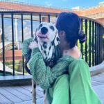 Carrie Wong Instagram - Introducing Pepper the resident doggo at #BOSSHouseBali. Peps is just a very good boi 🐾 @boss #BeYourOwnBOSS #BOSSDogAccessories