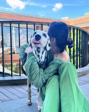 Carrie Wong Instagram - Introducing Pepper the resident doggo at #BOSSHouseBali. Peps is just a very good boi 🐾 @boss 

#BeYourOwnBOSS #BOSSDogAccessories