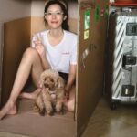 Carrie Wong Instagram - Pardon all my work contents guys but what I actually do at home…. hmm..