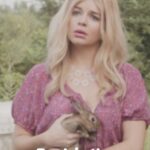 Casey Wilson Instagram – Damnit if AI didn’t make an incredible slideshow from 
ASS BACKWARDS. We must separate the art from the artist!! (Streaming on Amazon Prime!) Starring legends @junediane @aliciasilverstone @mrjoncryer @vincentdonofrio @briangeraghty13