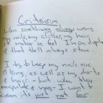 Casey Wilson Instagram - Occasionally there are poets who capture the hearts and minds of a nation and speak for a generation. I give you my childhood poem, “Criticism”