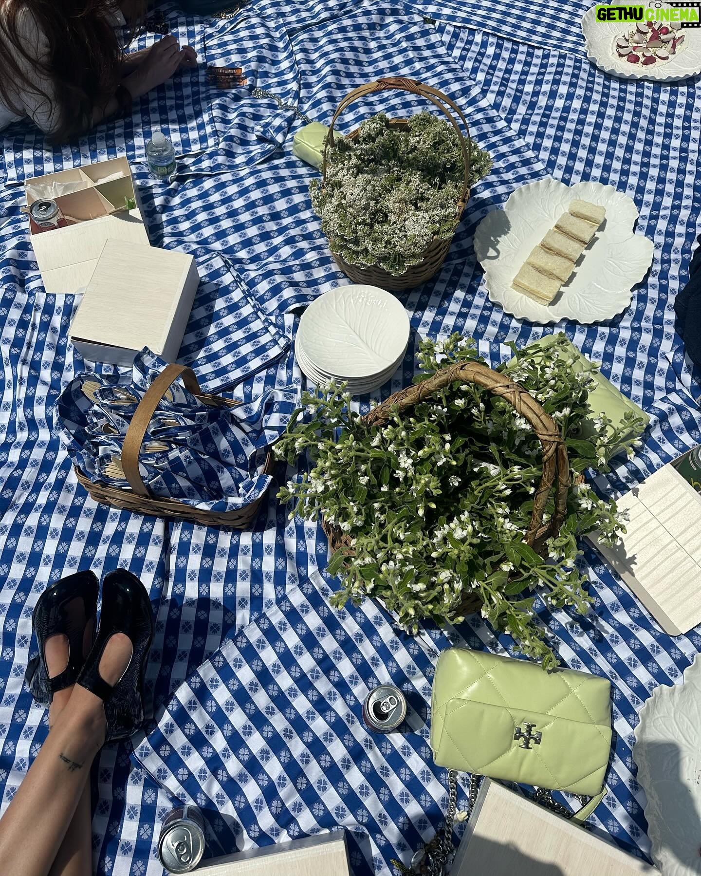 Casimere Jollette Instagram - picnic with @toryburch 🧚🧺