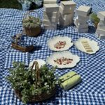 Casimere Jollette Instagram - picnic with @toryburch 🧚🧺