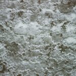 Casimere Jollette Instagram – film from this past week of bearing the cold ౨ৎ⋆ ˚ ❆｡⋆⁺₊❅.⋆ ˚｡⋆₍ᐢ. ༝ .ᐢ₎⋆ ˚｡⋆