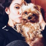 Cassie Steele Instagram - RIP Peanut. You were so good to me. There aren’t any words to express the way you touched my life. I love you forever.