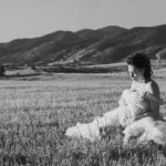 Cassie Steele Instagram - I… am … THE GREAT PUMPKIN #charliebrown #maternityphotoshoot #fall #halloween