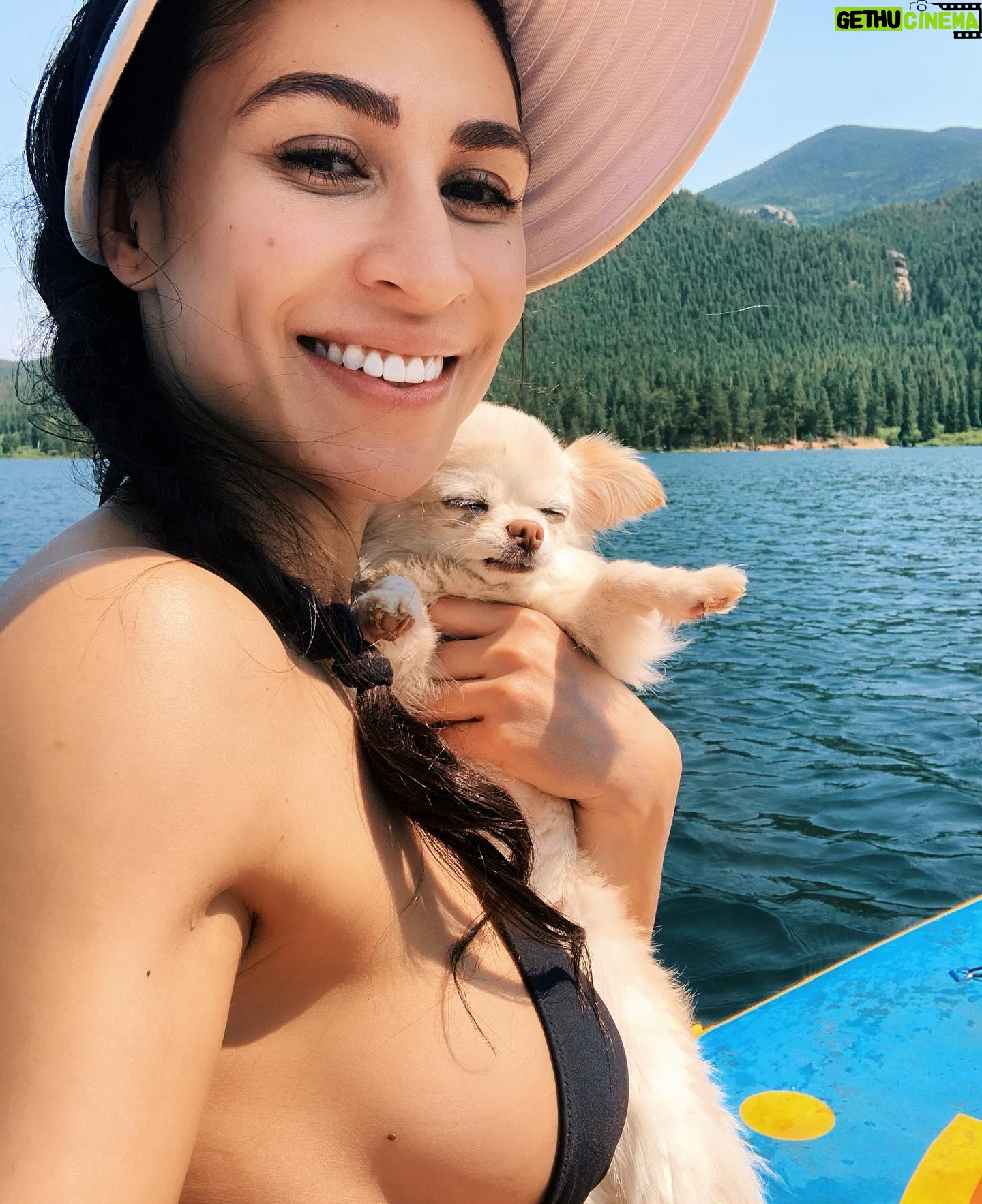 Cassie Steele - 36.9K Likes - It’s just me, bug, and the Rocky Mountains! #colorado