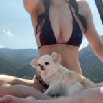 Cassie Steele Instagram - It’s just me, bug, and the Rocky Mountains! #colorado