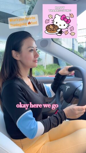 Cat Ce Instagram - Be generous, thankful & grateful 🙏life is more meaningful to make others happy 💜be a giver, not a taker!!! What’s your favorite Thanksgiving 🍁food, will you trust Tesla’s full self-driving feature? #happythanksgivng #pandaexpress #sketchcomedy #teslamodel3 #teslaselfdrivingcar #funnycargirl 😸honestly Tesla’s voice assistant is amazing 👏🙌 @teslamotors