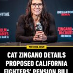 Cat Zingano Instagram - Cat Zingano talks about the bill she’s advocating for 📝 #TheMMAHour
