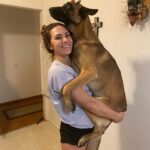 Cat Zingano Instagram – It’s fun to be strong and it takes a strong person to be willing to heal. You can do it!
I chose to partner with @vst for their medically proven supplements and their true commitment to helping our vets. They have resources and connections to all things health and counseling and they extend that commitment to family and pets. They truly want to take care of you!

Please check them out, the membership is free! Use CATNIP at checkout for free shipping too!
#veteransupport #veteranpets #VST #Veteranlove #VSTpartner #mmj #cbd
