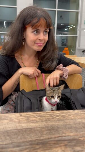 Catarina Perez Instagram - Devia fazer reels sobre viajar de avião com a Siesta? 🐱✈️☁️ (O Spike só não foi porque está muito melhor na petsitter (@nacompanhiadasophia 💕) do que no porão 🐶)