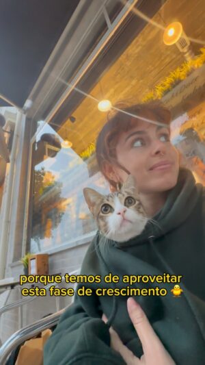 Catarina Perez Instagram - BOAS NOTÍCIAS DE SIESTA E SUA CAUDINHA E SUA INCONTINÊNCIA 💕💕💕📰