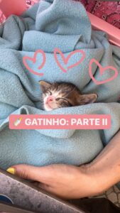 Catarina Perez Top 100 Instagram Photos and Posts