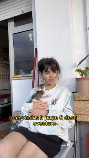Catarina Perez Instagram - É UM ALÍVIO TÃO GRANDE QUE A GATINHA TENHA CRESCIDO TANTO E TÃO SAUDÁVEL ATÉ AGORA 🥹 (só espero que ela não perca estes olhinhos de camaleão 🤞✨) obrigada a todos pelo apoio 💕😽💖