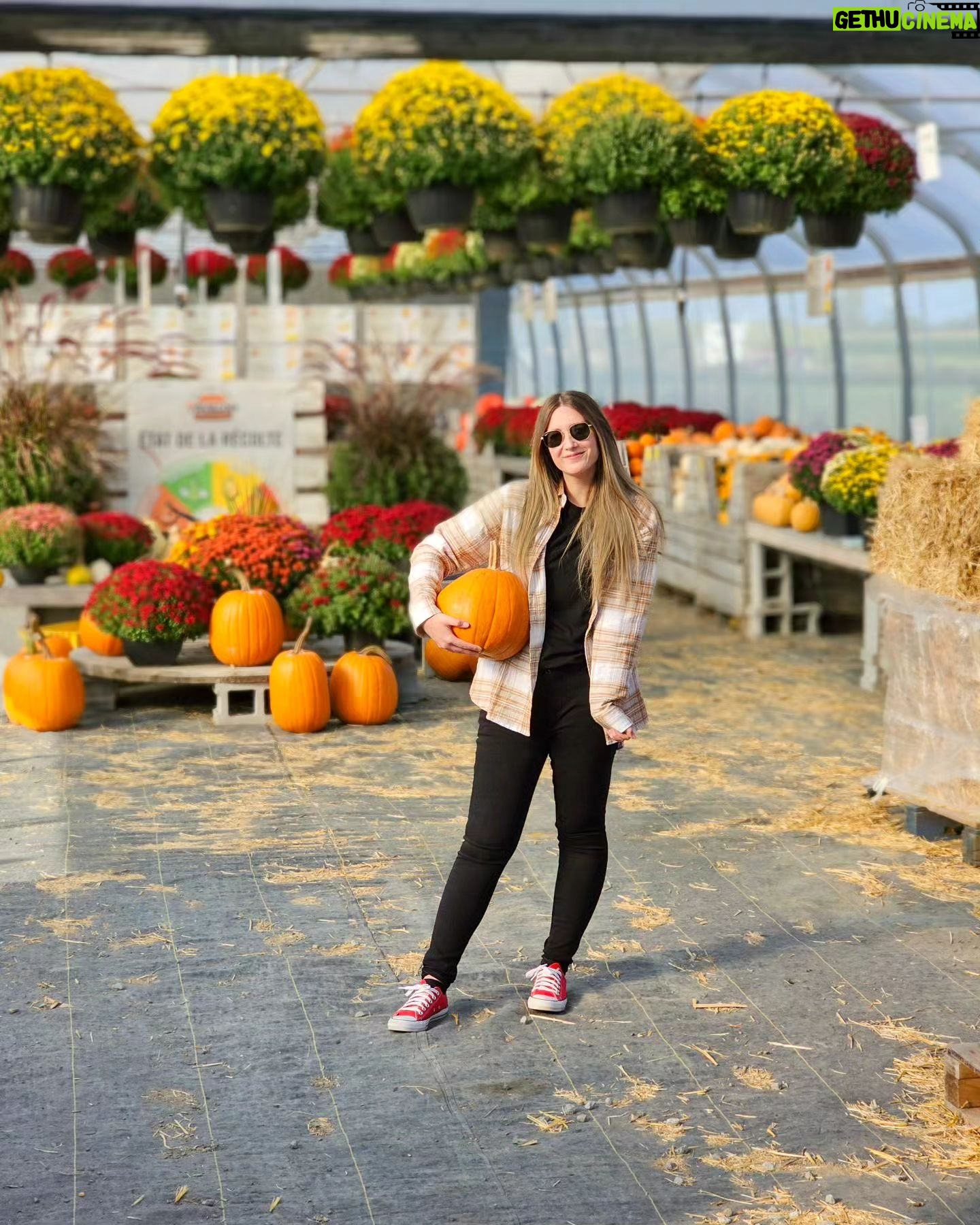 Catherine Francoeur Instagram - Octobre đđđ... Ou autrement dit les meilleurs mois de l'annĂ©e qui commencent dĂšs maintenant ! đ€ Octobre c'est un mois magnifique avec les arbres qui changent de couleur, novembre c'est un mois cozy en prĂ©paratif des fĂȘtes et dĂ©cembre c'est NoĂ«l. Je tente toujours de vivre dans le moment prĂ©sent mais j'avoue que je suis vraiment excitĂ©e pour cette fin d'annĂ©e đ„čđ€