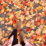 Catherine Francoeur Instagram - Attendre avec impatience de retrouver ce moment où les feuilles colorées sont partout 🤍🍁🍂 Bon lundi !