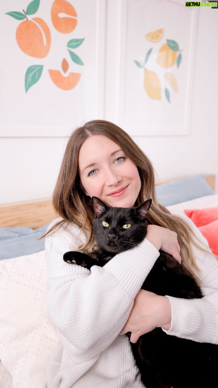 Catherine Francoeur Instagram - On a beau les aimer de tout notre cœur et vouloir le meilleur pour eux, mais nos animaux ne peuvent pas nous dire quand quelque chose ne va pas. 🐈🐾🐕 Heureusement, il y a certains outils qui peuvent nous aider, comme la litière OdourLock maxCare. Ce qu'il y a de spécial, c'est qu'elle possède la technologie Blücare qui permet de détecter la présence de glucose ou de sang dans l'urine de votre chat à un stade précode. C'est non-invasif: quand les granules changent de couleur, c'est un signe qu'une petite quantitée de glucose ou de sang dans l'urine a été détectée, ce qui nous permet de nous rendre chez le vétérinaire plus rapidement. Considérant que les maladies urinaires et le diabète sont fréquents chez les chats, le plus tôt on peut détecter un potentiel soucis de santé, le mieux. Après avoir perdu notre premier chat, Fudge, c'est encore plus important pour nous de s'assurer que Toast, qui est le meilleur ami de notre fille, reste en santé le plus longtemps que possible. 🐈⬛💐 #partenaire @odourlock #OdourLockMaxcare