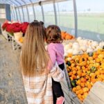 Catherine Francoeur Instagram - Citrouilles, chrysanthèmes et petits moments en famille: c'est bien l'automne qui est là 🍂🍁🤎