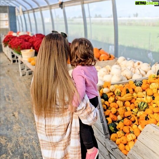 Catherine Francoeur Instagram - Citrouilles, chrysanthèmes et petits moments en famille: c'est bien l'automne qui est là 🍂🍁🤎