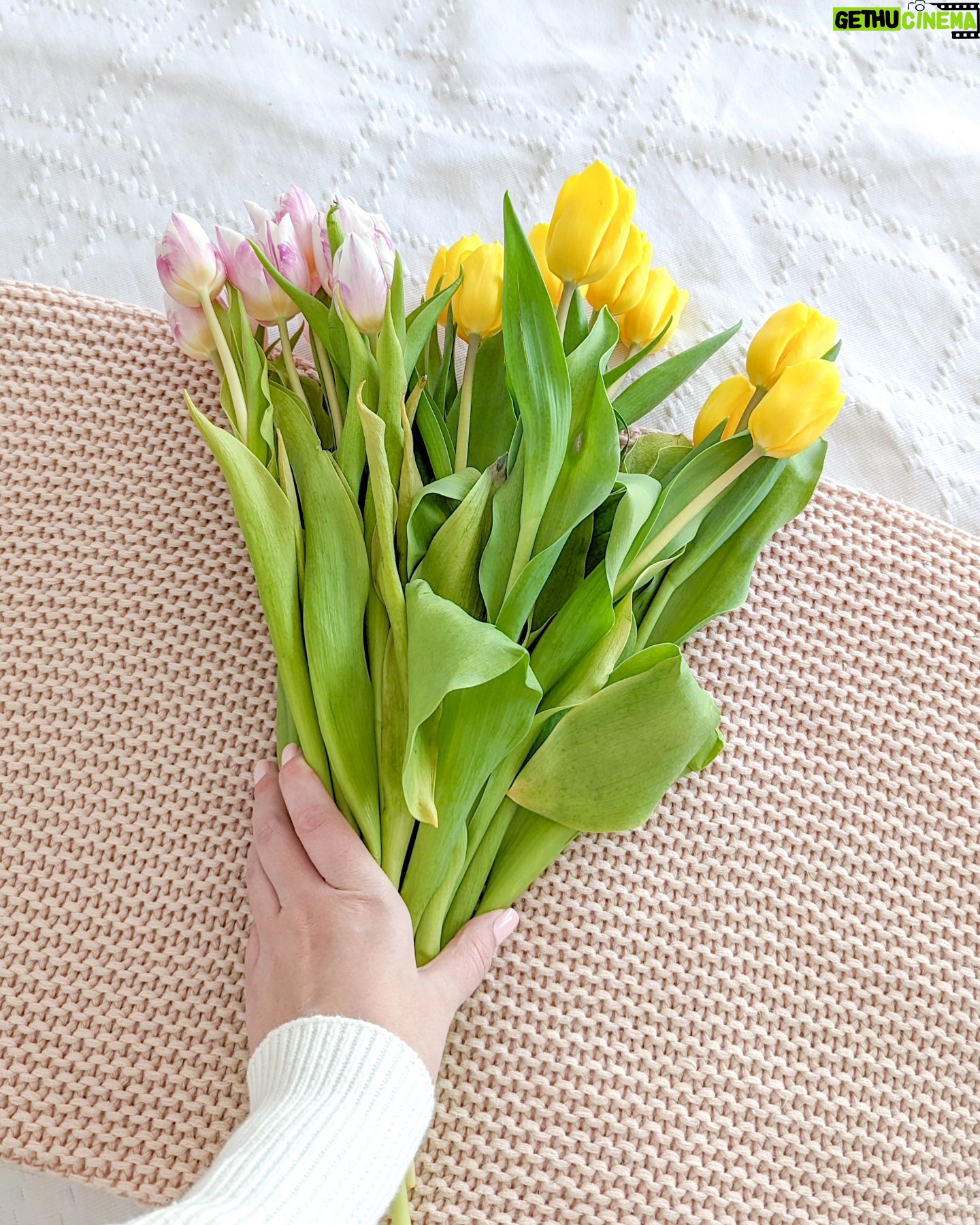 Catherine Francoeur Instagram - Petit pop de couleur en cette journée grise 💐🤍 Bon week-end tout le monde 🫶🏼