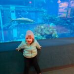 Catherine Francoeur Instagram – Photo dump de notre premier voyage en famille 🥹🏰👑
Pas toujours facile et beau comme sur les photos mais au final ce que je retiens, ce sont les beaux moments, les étincelles dans les yeux et le bonheur de voir notre fille s’émerveiller devant ce qu’elle voit 🤍 

Tellement reconnaissante d’avoir pu vivre ce beau voyage en famille 🥹(et avec Tatie @josiemchl pas présente sur les photos haha🥰)

1. Forever fan de ce château 🥹
2. L’attraction préf de Julia: l’aquarium (et oui, on a vu une 🐢!!)
3. Team hot dogs 🌭
4. Une de mes sections préférée, Toy Story Land !
5. Epcot
6. Encore le château, si impressionnant 🩷
7. Une attraction que j’adore, Tower of Terror. Pas eu le temps de la faire cette fois, mais j’avais adoré lors de notre première visite !
8. Excitation x1000 de voir Squirt 🐢
9. En attente d’un manège 🎢
10. Le manège de Guardians of the Galaxy, coup de coeur !!! 🤍

#InvitationMedia