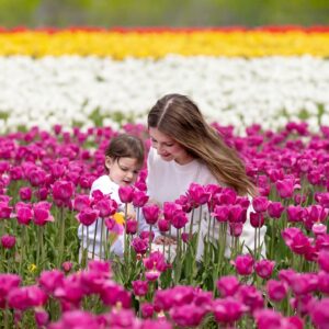 Catherine Francoeur Instagram - Redécouvrir toutes mes activités préférées mais avec elle. 🤍💐

Si jamais vous cherchez une belle activité à faire ce week-end, c'est encore le temps d'aller faire votre auto cueillette chez @tulipes.ca 🌷

📸: @technofou