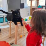 Catherine Francoeur Instagram – Photo dump de février (en retard, fidèle à moi-même🙄)

1. Essayer de reproduire un gâteau vu sur Pinterest alors que je n’ai absolument aucune habileté en décoration de gâteau 🤝🏻
2. Ballons ballons ballons paaaartout 🎈
3. Passion hot wheels de Mario 🚙
4. La meilleure chose que j’ai pu installer dans mon salon: ce meuble Trofast du Ikea pour ranger les jouets. Mon mental se porte bien mieux 😅🤪
5. Enfin avoir une date pour la parution de mon prochain roman 🤭
6. Premier tournage pour Monsieur Toast 🐈‍⬛
7. “Manger fraise Tooooo?” 🍓
8. Jamais me lasser de prendre burger   frites au resto 
9. Chacune son coloriage 🥤🐢