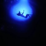 Catherine Mazoyer Instagram – Excelente espectáculo @fuerzabrutaok !!! Que buena y entretenida experiencia junto a mi amor @raul_ars2 ❤️
Mañana nueva función y supe que por éxito de ventas se sumaron otras funciones la próxima semana! No se lo pierdan! Link para entradas en mis historias
@vibracl