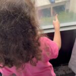 CeCe Peniston Instagram – Lol my niece #finally got a chance to see me perform and she had this reaction as I was doing #soundcheck @hartfordpride thanks for having me #cecepeniston #dude #seriously #shes a lil #artist already !! ❤️❤️❤️❤️❤️ #family #saturday