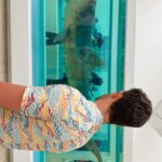 Ceci Flores Instagram - Nuestras tres cosas favoritas. 🤍🦈🪲 #DamienHirst (Los tiburones, los bichitos lindos y el bigote de mi novio)
