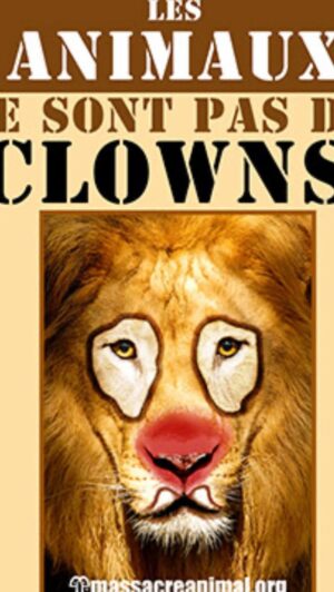 Cécile Consul Instagram - MESSAGE à MR le MAIRE de SIX FOURS LES PLAGES 

Vous êtes complice dé MALtRAITANCE!!!!
 
L’interdiction des cirques sans animaux sera pour 2028, 

Mais en attendant on tolère une PRISON en plein air dans sa ville???? 
Accepter la venue d’une cirque mais sans représentation c’est bien.. Donc on laisse crever des animaux en cage pendant 5 ans encore????

 Ne fermez pas les yeux SVP 🥲

@var_matin a fait un article sur ce cirque ,il est encore là pendant 1mois …

Ce chien qui est enchaîné dans ses excréments😳🥲 @villedesixfours  vous tolérez ça et les lions qui rugissent toute la journée ? Et l’hippopotame qui est ds une bassine ect…..

@spamarseilleprovence @30millionsdamis @bonnardxavier @fondationbrigittebardot 

Peut on faire quelque choses au moins pour ce pauvre chien ?

#stopalamaltraitancedesanimaux #cirque #mairiedesixfours